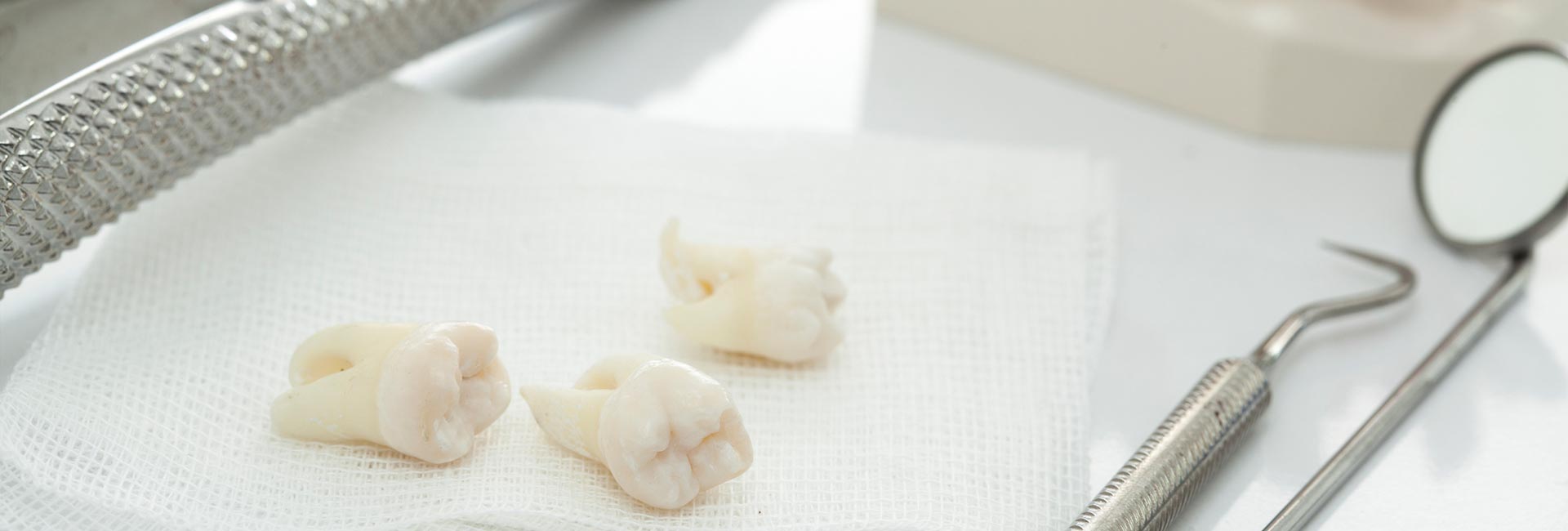 Extracted teeth with dental tools
